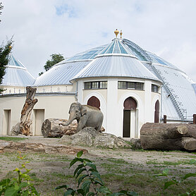 Casa de Elefantes Hellabrunn, sistema de seguridad en el tejado