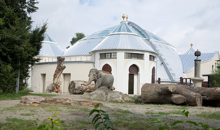 Maison des éléphants d'Hellabrunn, sécurité sur le toit