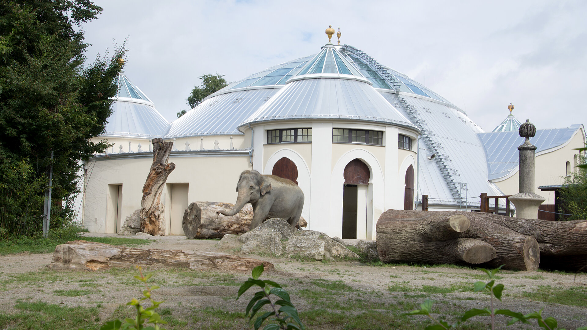 Hellabrunn elephant house, roof safety