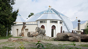 Casa del elefante Hellabrunn, seguridad en el tejado